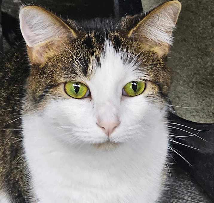 Photo of Persephone