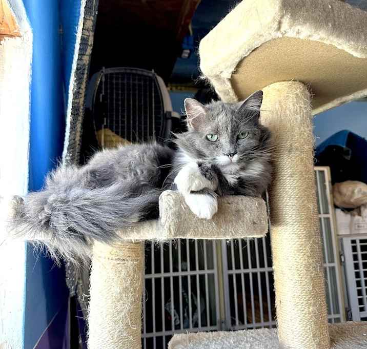 Photo of Sprout