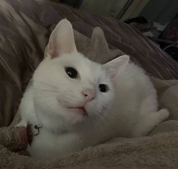 Photo of Whiskey