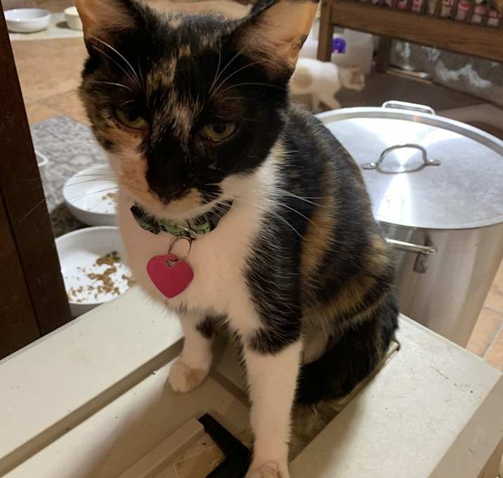 Photo of Sweet Momma