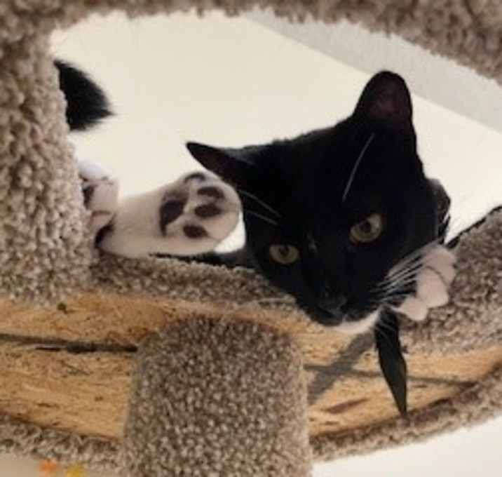 Photo of Little Momo