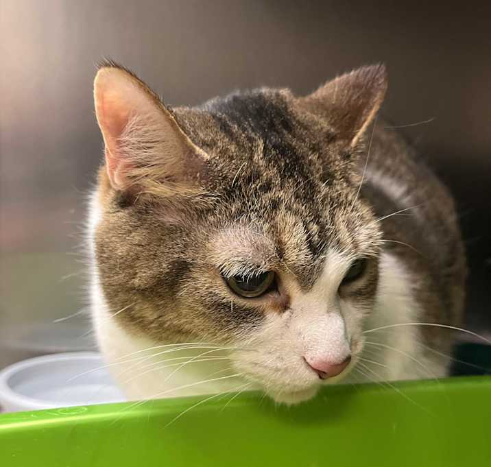 Photo of Kiki