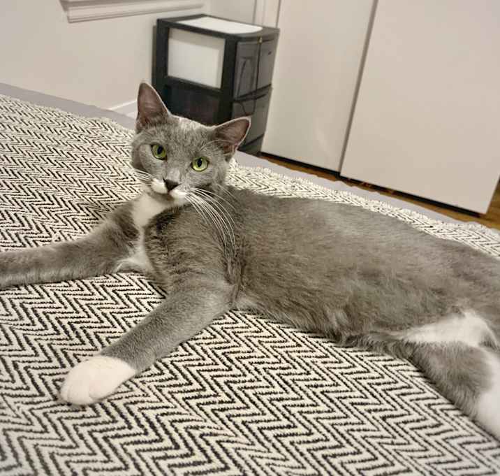 Photo of Missy