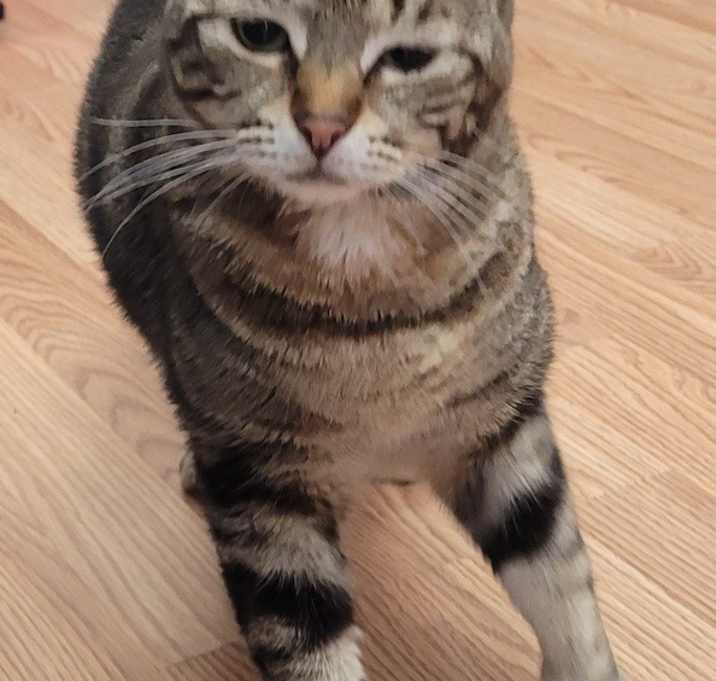 Photo of Wanda