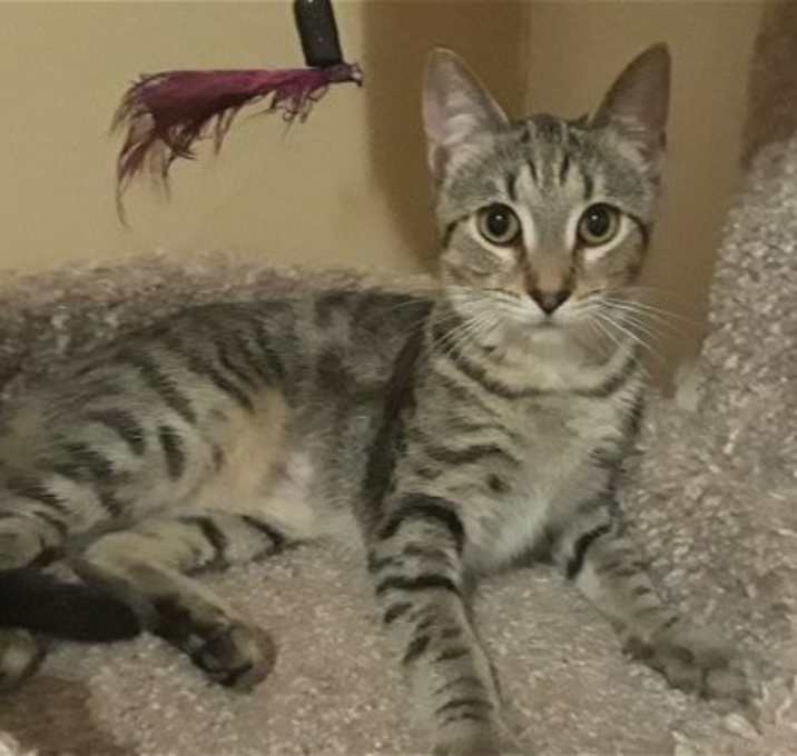 Photo of SYLVIA