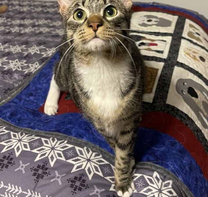 Photo of Buttercup