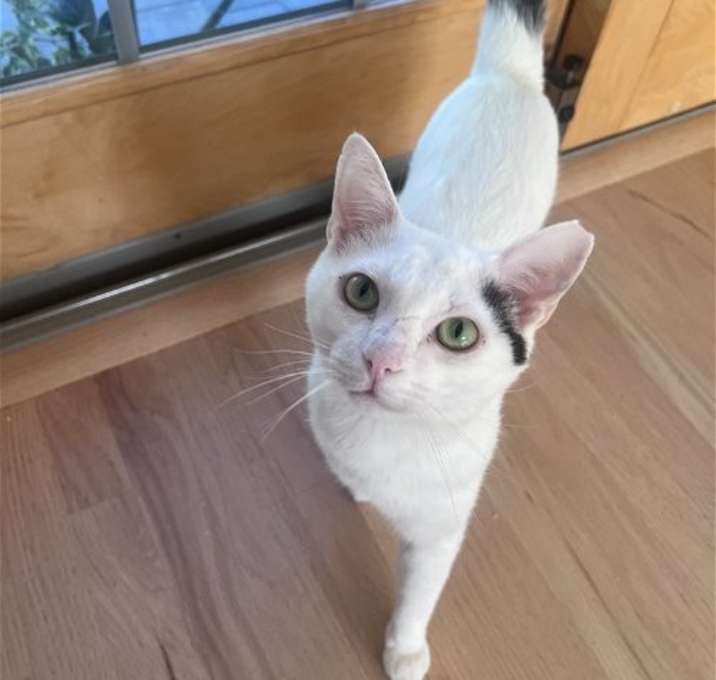 Photo of INDY