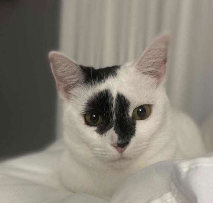 Photo of Lucyfur