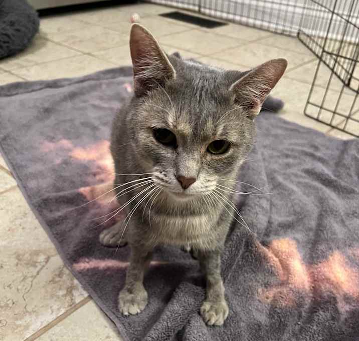 Photo of Penelope