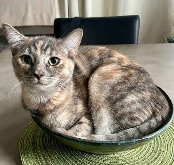 Photo of Twix