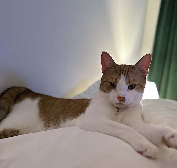 Photo of Sammy