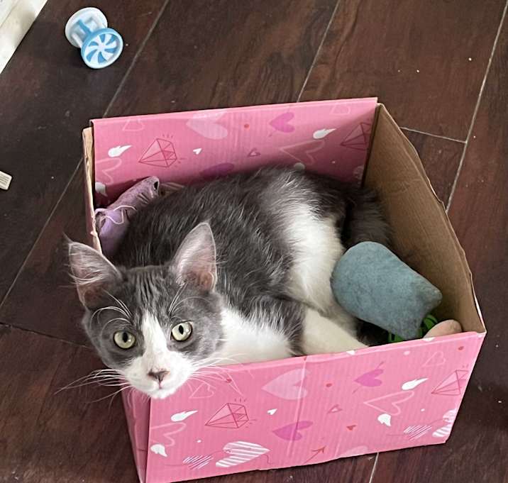 Photo of Fuzzy Butt