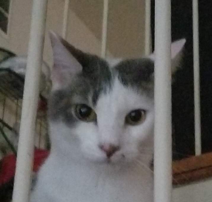 Photo of Cloud