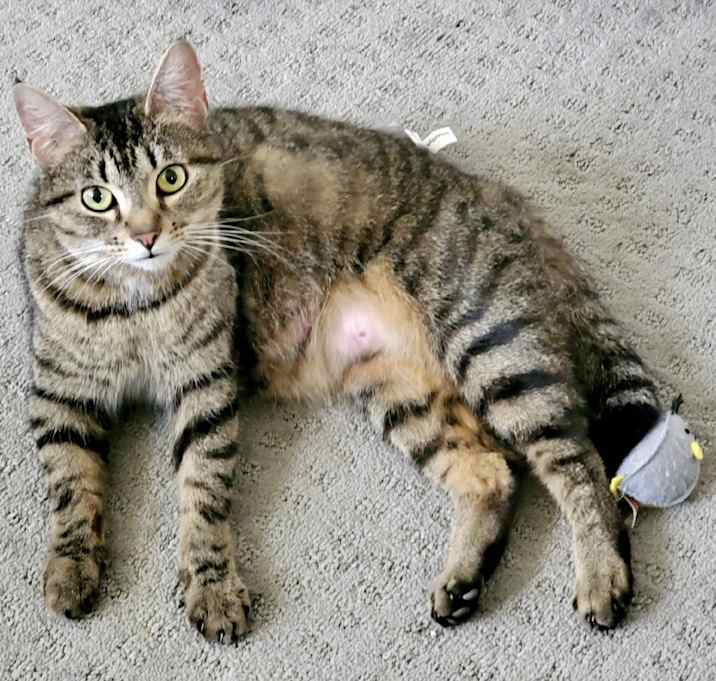 Photo of Lulu