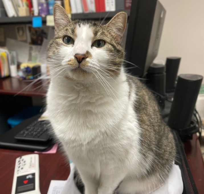 Photo of Princess Honey