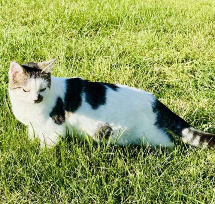 Photo of Cleo