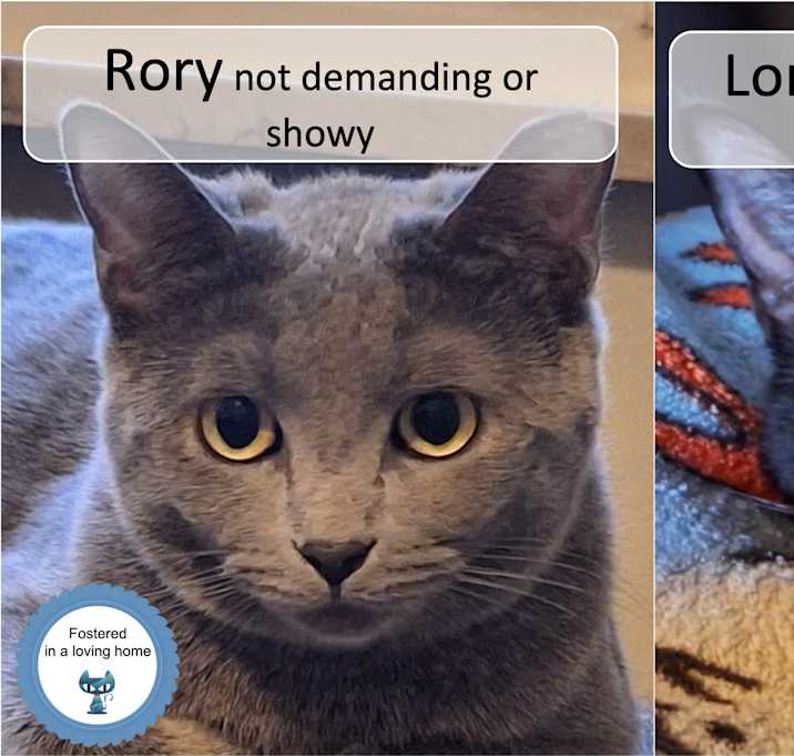 Photo of Rory & Lorelai
