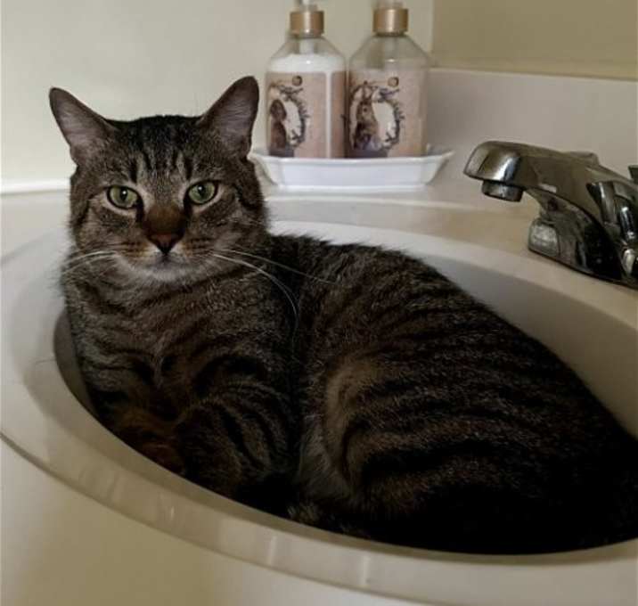 Photo of Hijinx