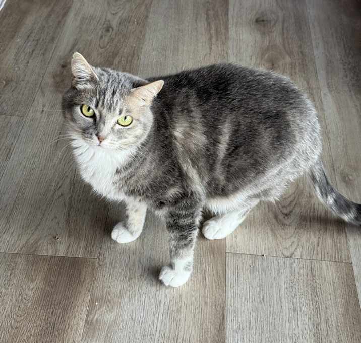 Photo of Delilah 3