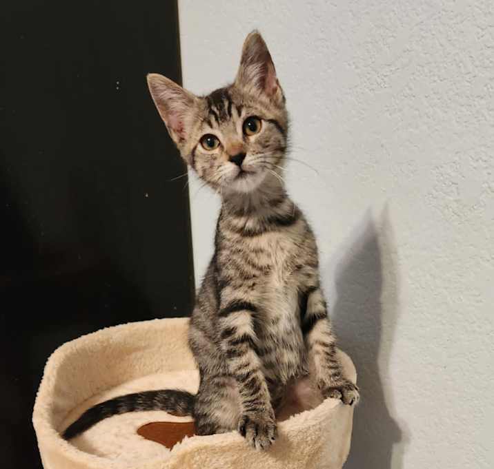 Photo of Buster