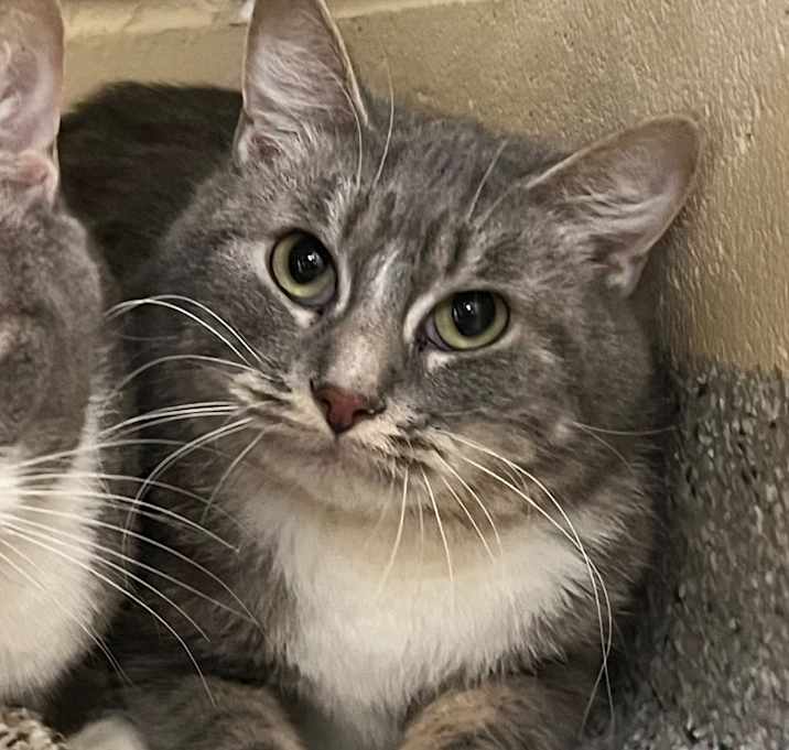 Photo of Stormy