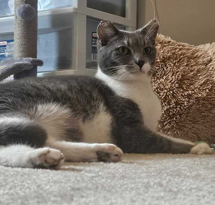 Photo of Ponyboy