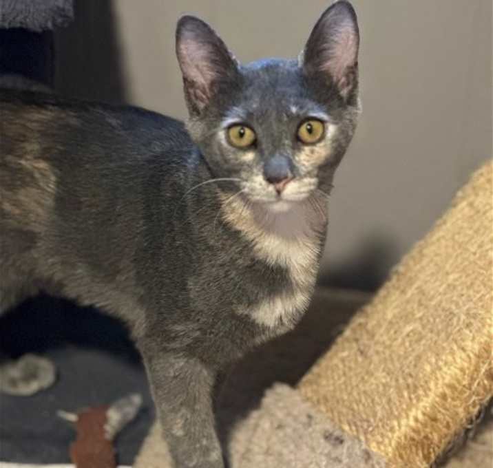 Photo of Chloe