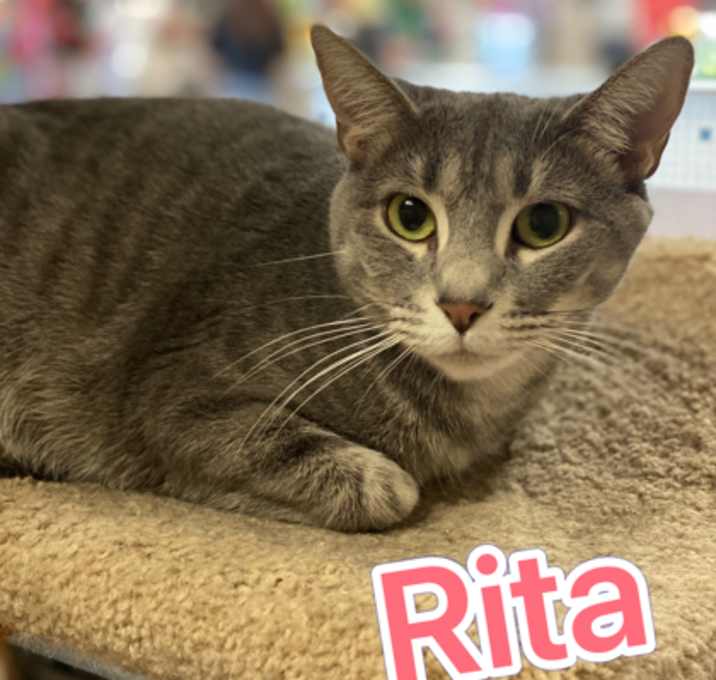 Photo of Rita