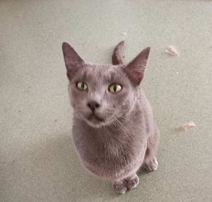 Photo of Bug