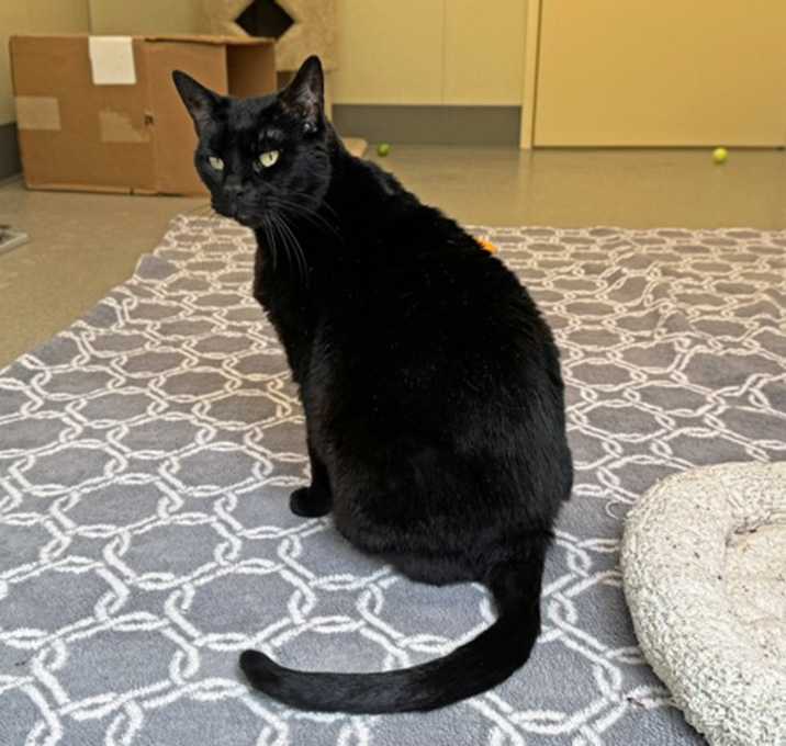 Photo of Annie