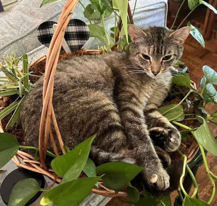 Photo of LILLIAN