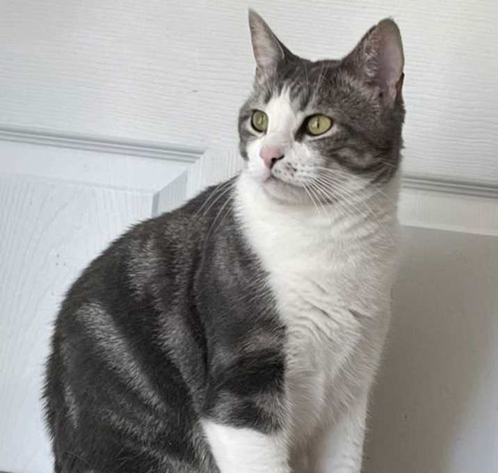 Photo of LEO STARBUCK