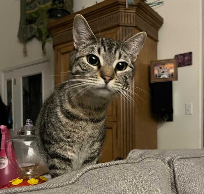 Photo of Aperture