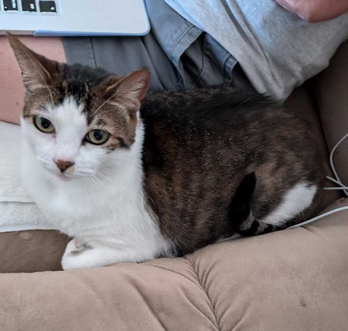 Photo of Charlie