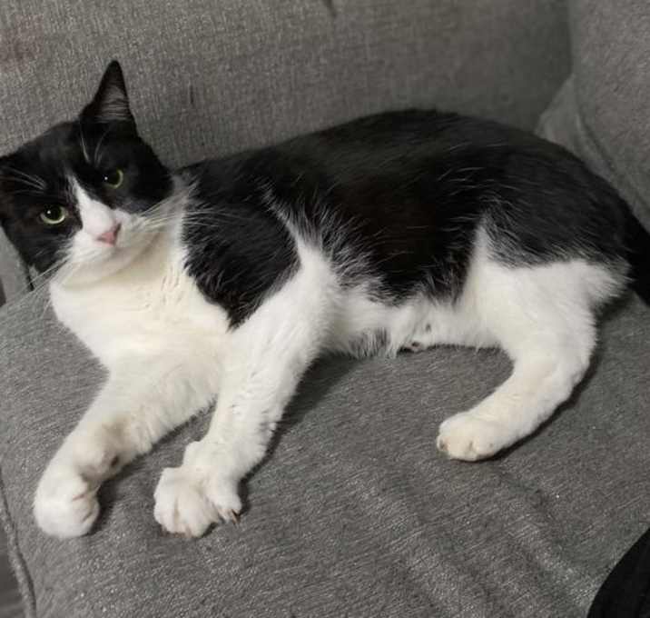 Photo of Rocky
