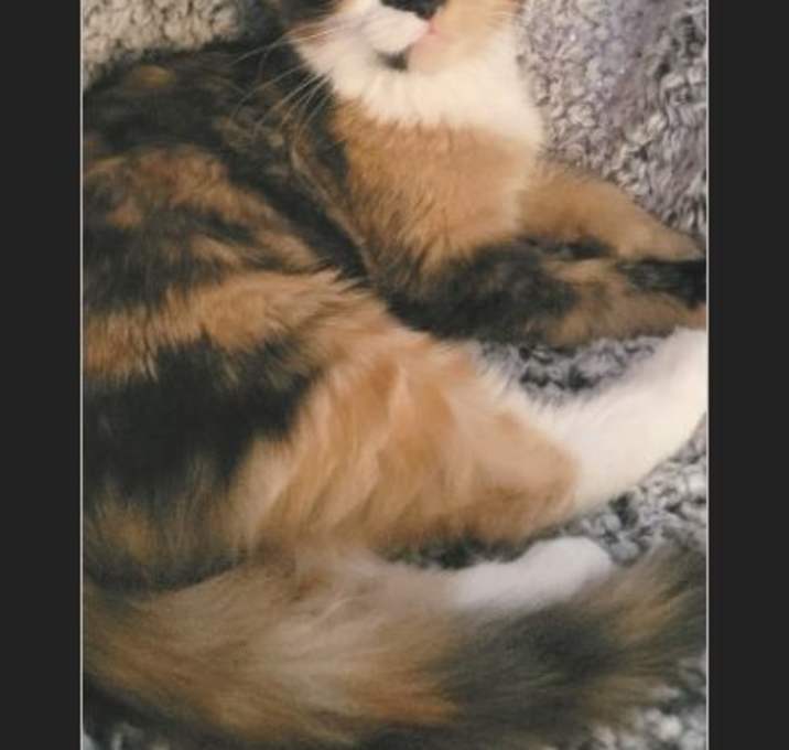 Photo of Gail