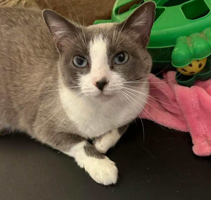 Photo of Lexie