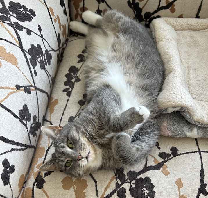 Photo of Maggie