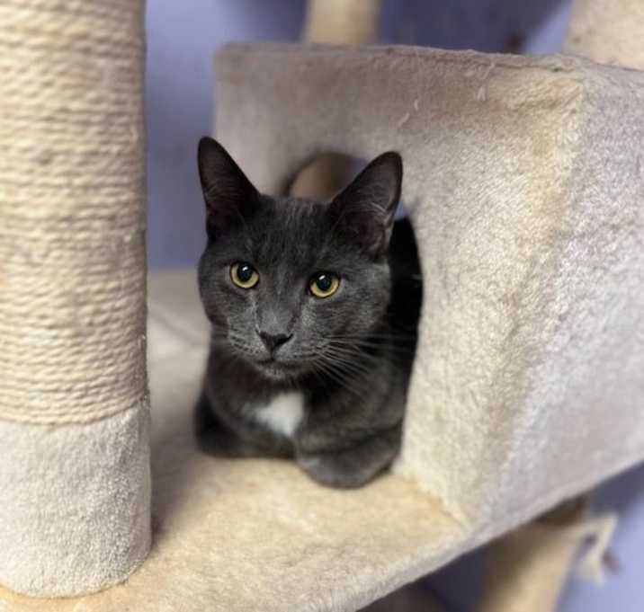 Photo of Louie