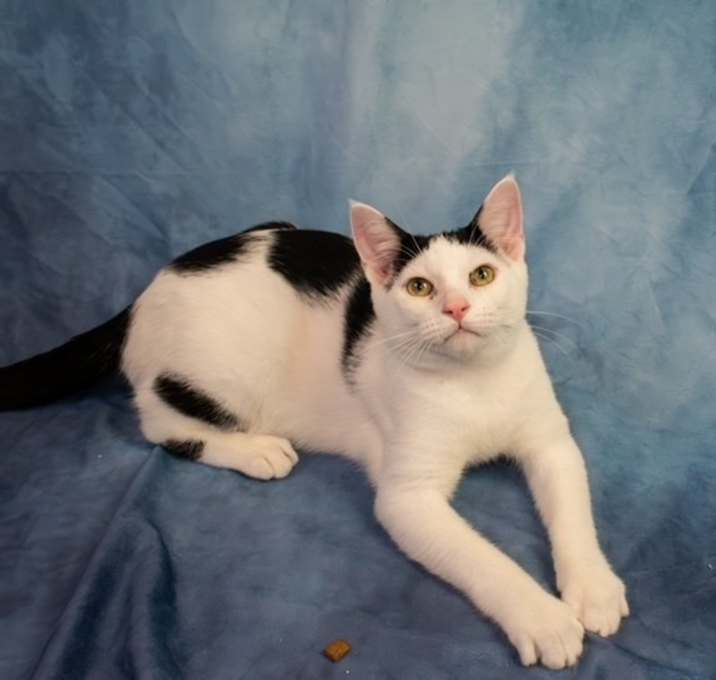 Photo of Jack-Jack