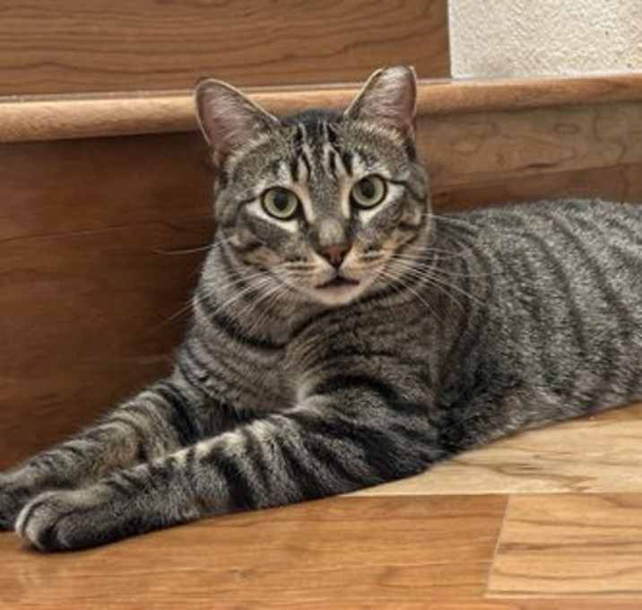 Photo of jules