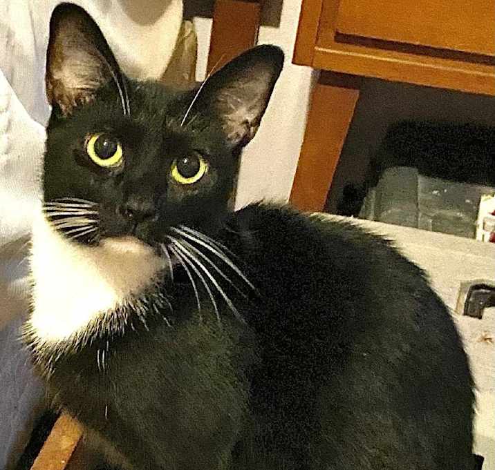 Photo of Tally