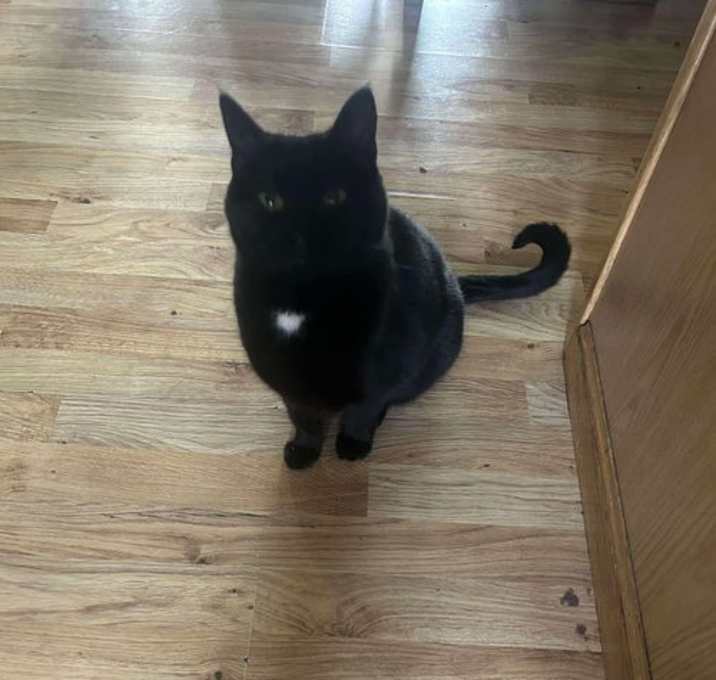 Photo of Orbit