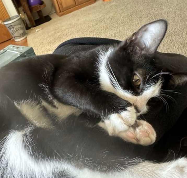 Photo of Carson