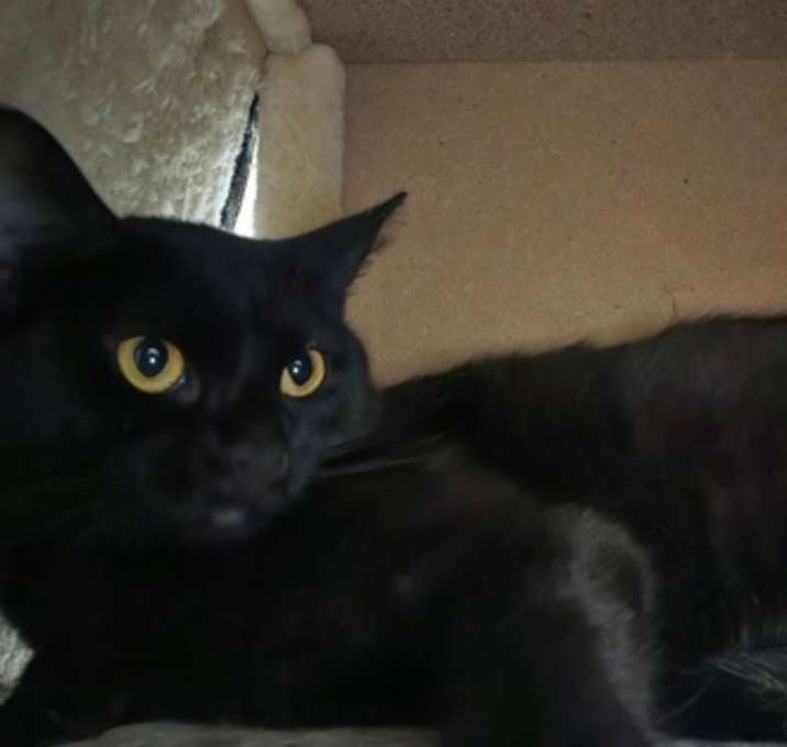 Photo of Roberta