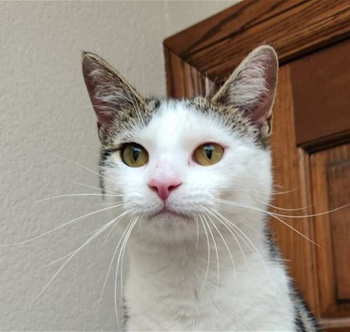 Photo of Pam