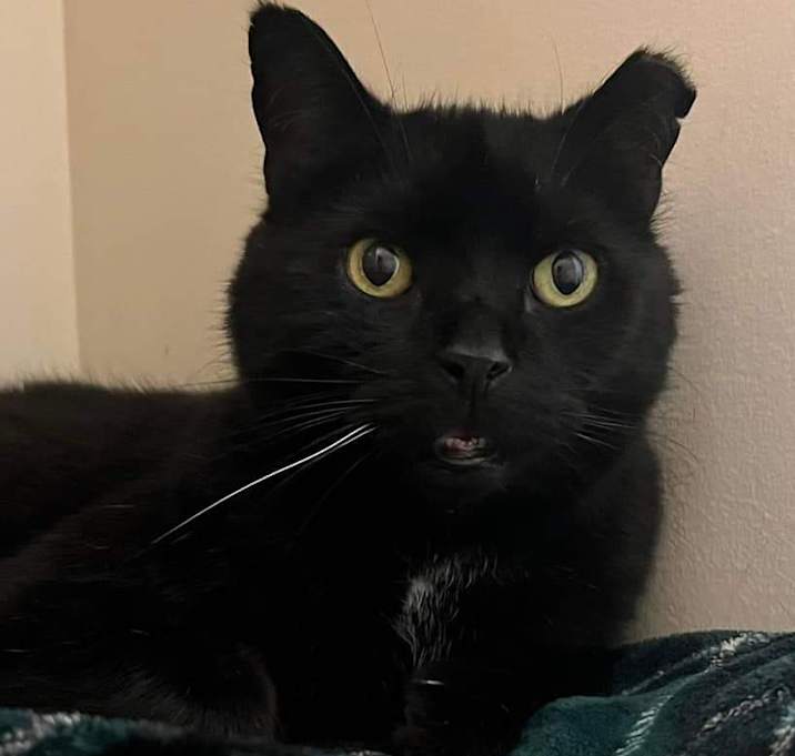 Photo of Coco