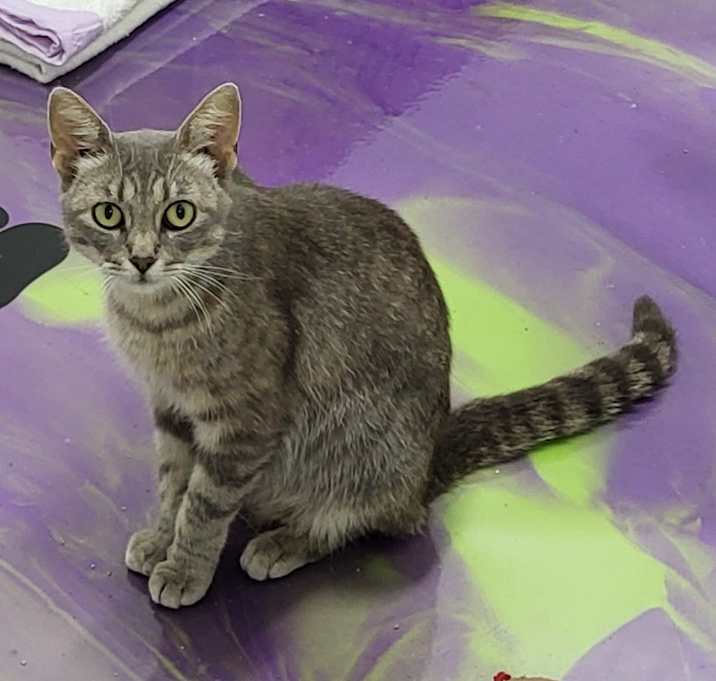 Photo of Margo
