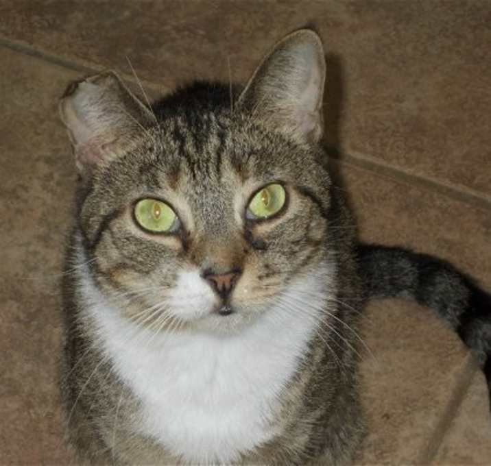 Photo of Sloop
