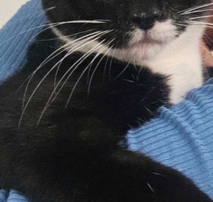 Photo of Dexi